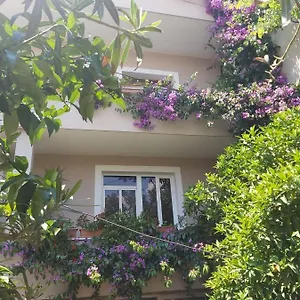 Flowers Albania